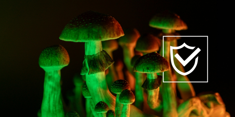 Come Sperimentare Un Viaggio Con Funghi Allucinogeni In Sicurezza 