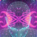 Tutto Quello Che C'è Da Sapere Sulla 5-MeO-DMT