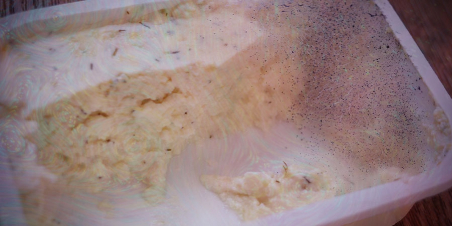 Come Riutilizzare I Panetti Di Micelio Esausto