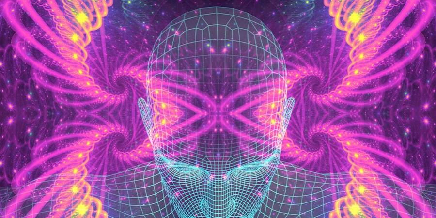 Tutto Quello Che C'è Da Sapere Sulla 5-MeO-DMT