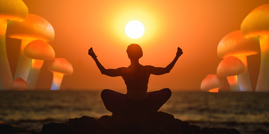Combinare I Funghi Magici Con Lo Yoga: Un Connubio Perfetto