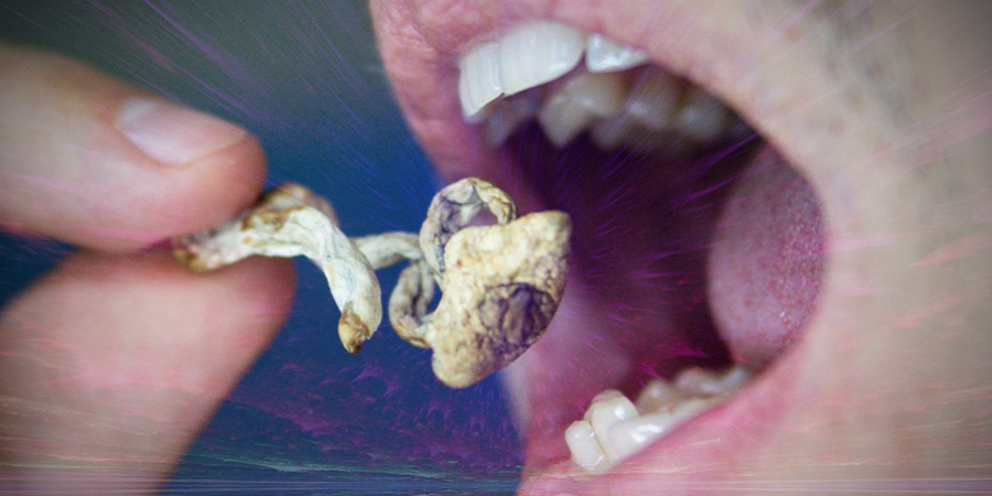 È Possibile Sviluppare Una Dipendenza Da Funghi Allucinogeni?