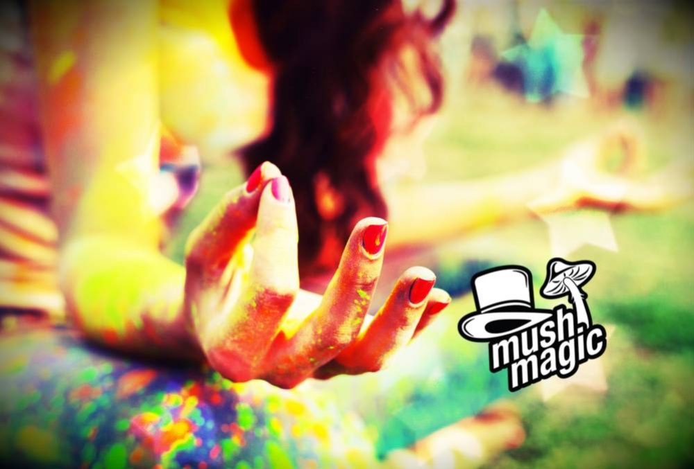 Come Prepararsi ad un Viaggio da Tartufi Magici