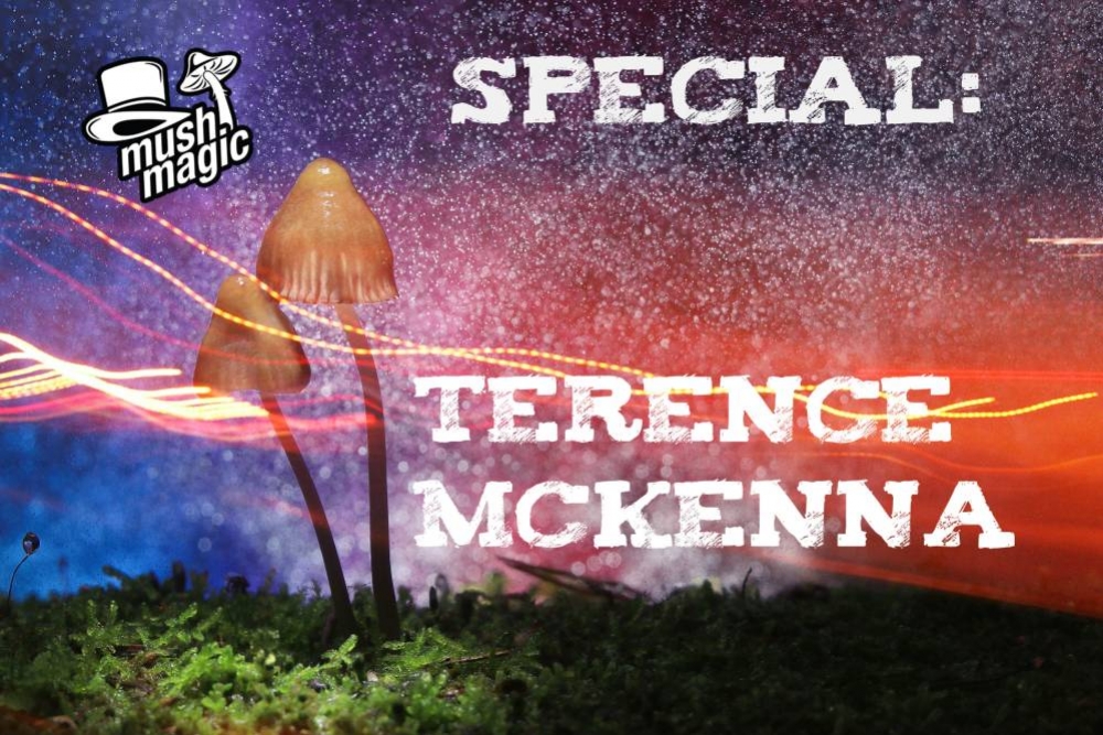 La Vita e le Idee di Terence McKenna