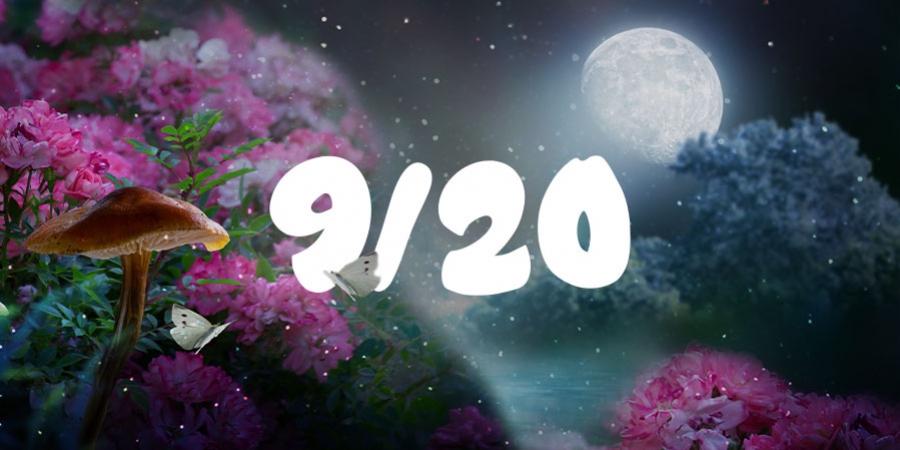 9/20: Il 4/20 Dei Funghi Allucinogeni