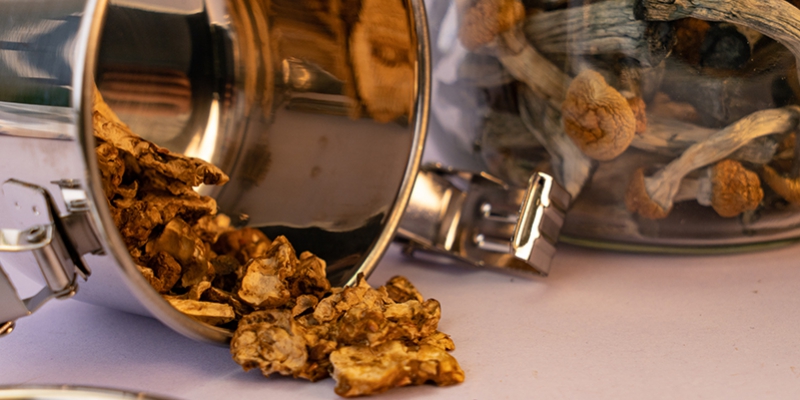 Come Conservare I Funghi E I Tartufi Allucinogeni