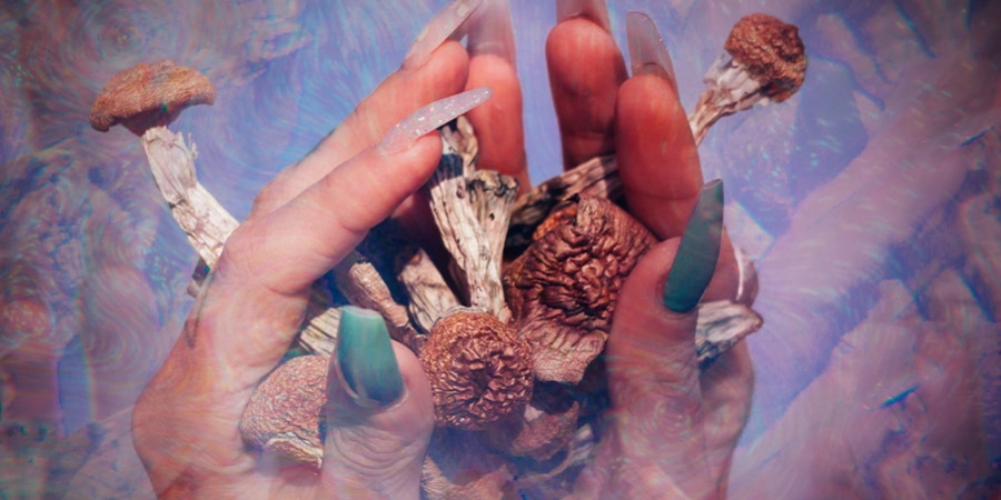 Vita E Opere Di Terence Mckenna
