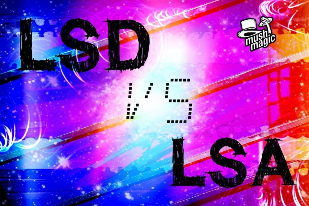 Che Differenza C'È tra LSA e LSD?