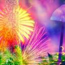 Analizziamo i 4 Principali Componenti dei Funghi Magici