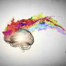 Video Cool: Come i Tartufi Magici Interagiscono con il Cervello