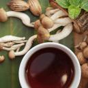 Il Modo Più Semplice per Preparare il Tè ai Funghi Magici