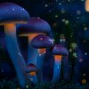 7 Sostanze Psichedeliche Presenti In Natura