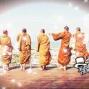 I 10 Posti Migliori Dove Prendere I Tartufi Magici