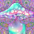 Che Differenza C'è Tra Funghi Allucinogeni E DMT?
