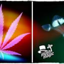 Funghetti Vs Ganja: Le Droghe Che Tutti Amano