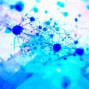 La Psilocibina Favorisce La Crescita di Nuove Cellule Cerebrali